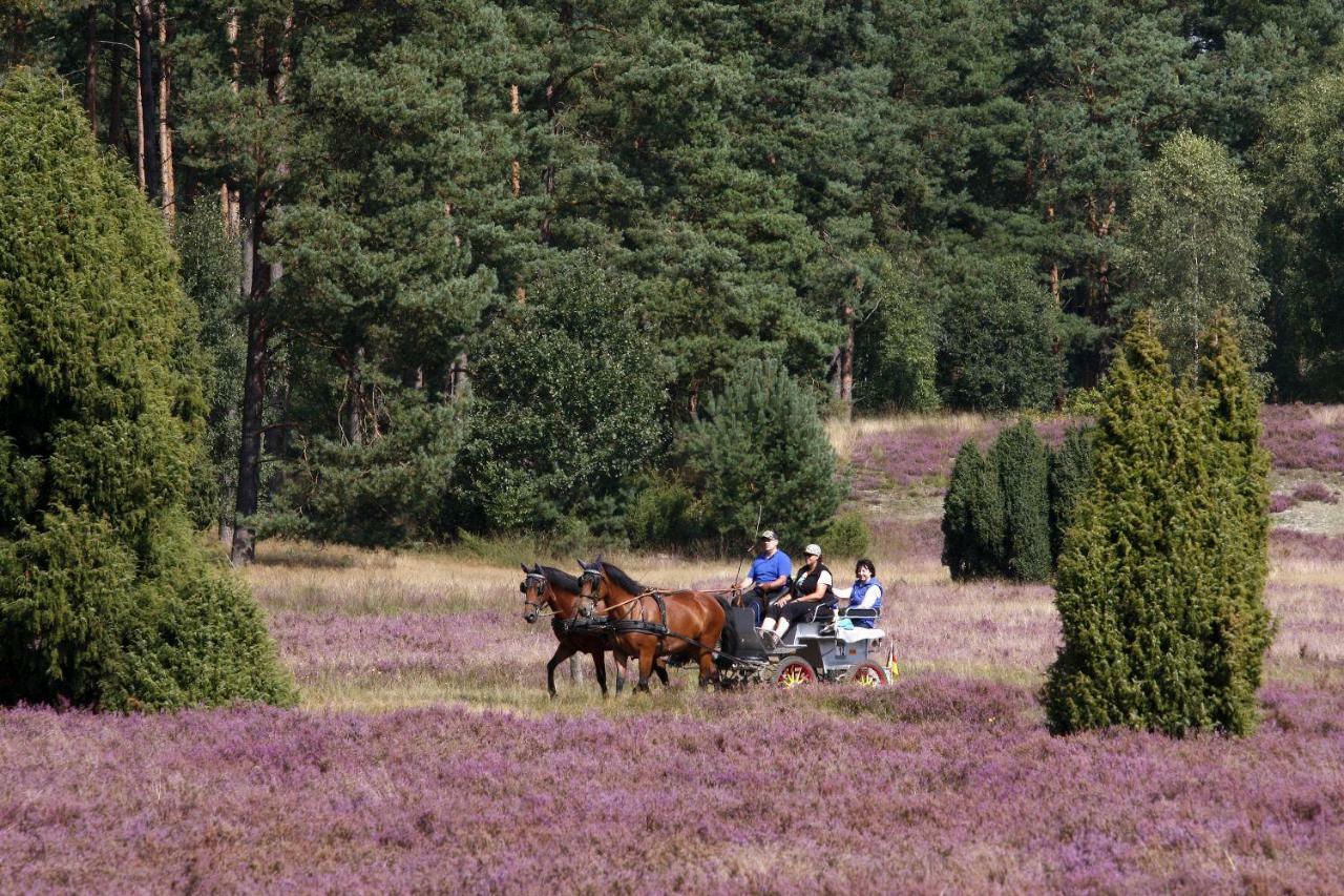 Ferienhof Cohrs Bispingen Luaran gambar